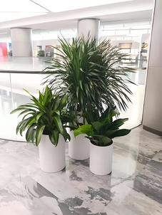 探寻宁波慈溪绿化养护方案,共筑绿色生态梦><div class=